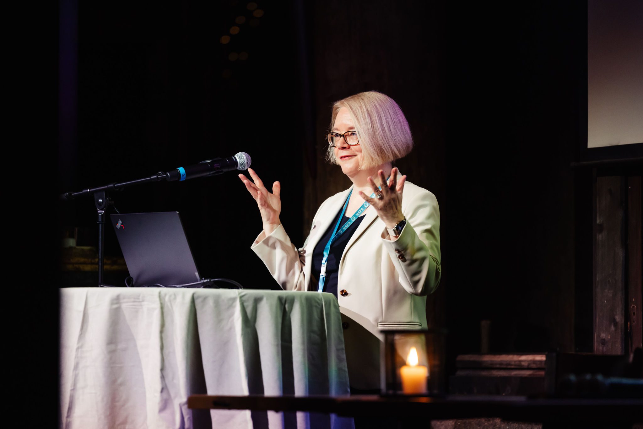 NAPA Safety Summit 2024 Minna Kivimäki Speech